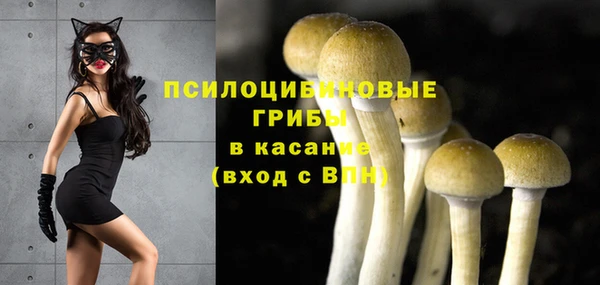 mdpv Михайлов